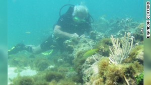 Could sunken wreck be Columbus&#39; ship?