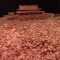 郭照片3