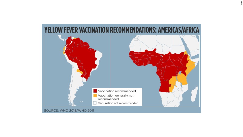 South Africa Yellow Fever Requirements Management And Leadership