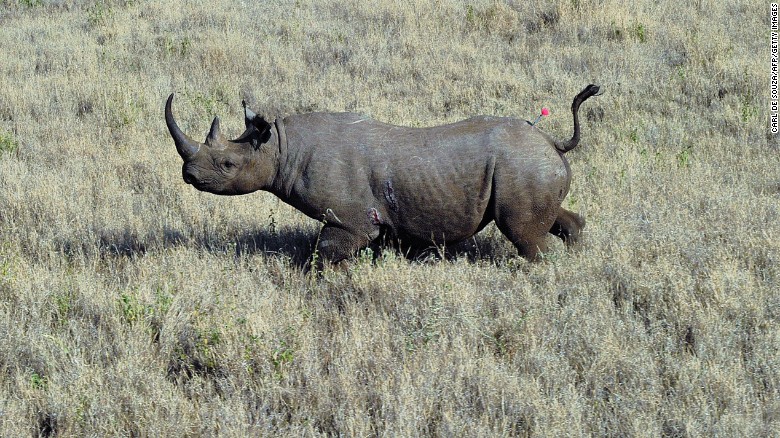 Rhino hunter defends killing an endangered animal