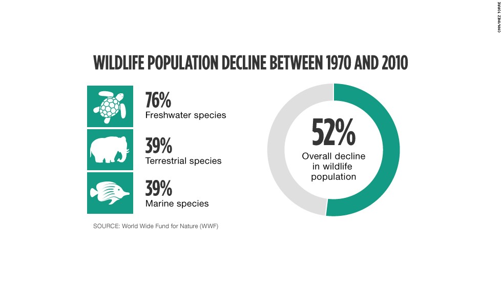 WWF: World Has Lost More Than Half Its Wildlife In 40 Years