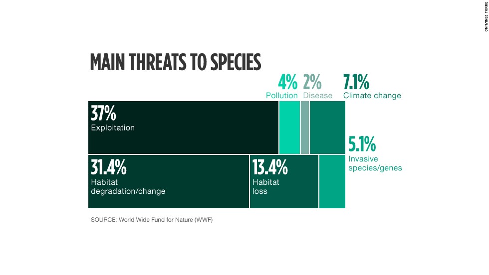 WWF: World Has Lost More Than Half Its Wildlife In 40 Years - CNN.com