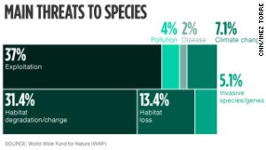 Main threats to wildlife