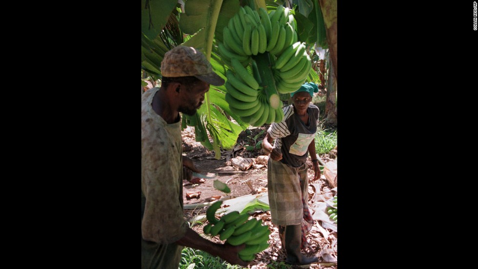 8 things you might not know about Jamaica