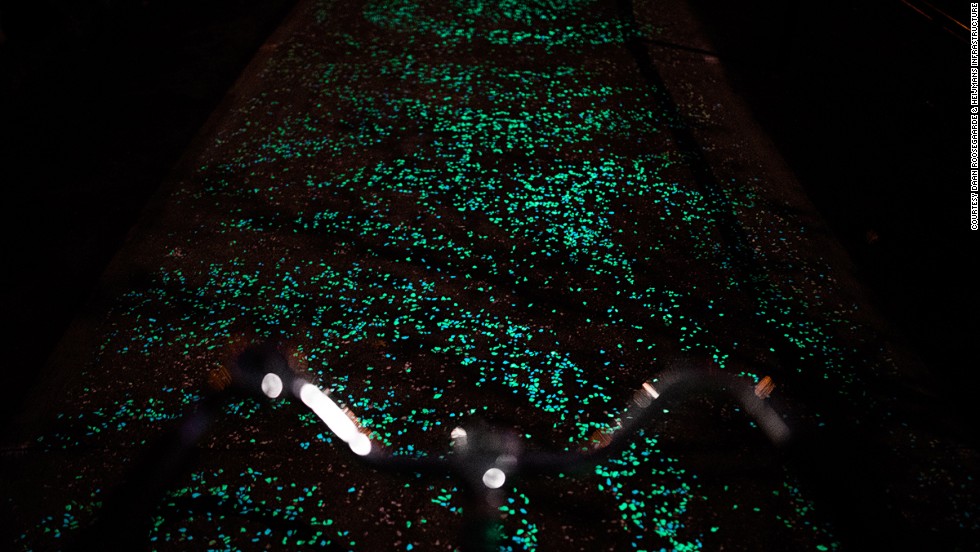 The path is illuminated by thousands of twinkling stones that feature glow-in-the-dark technology and solar-powered LED lights.