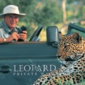 safari leopard hills
