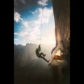 04 el capitan climbers 0115