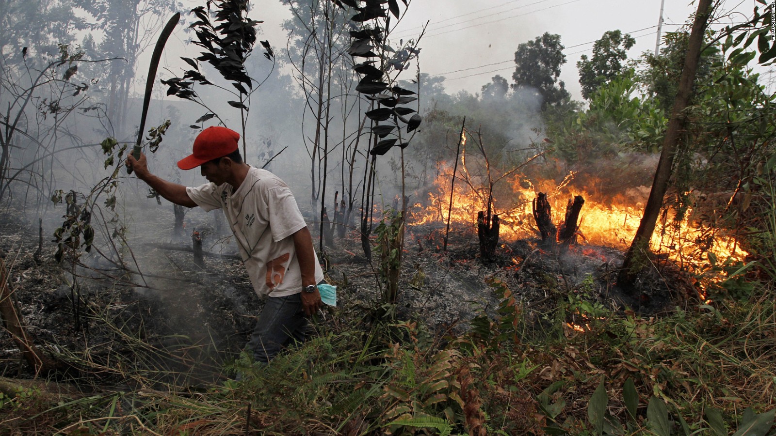 A resident attempts to put out a fire spreading through a plantation in Dumai district, Riau province, Sumatra, March 3 2014.