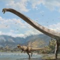 This illustration shows what the newly discovered long-necked dinosaur may have looked like.