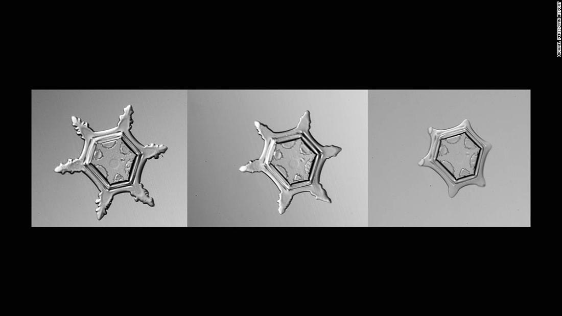 When he has a flake on a slide, it quickly starts evaporating. Here you see the process of sublimation, when a substance goes from a solid to a gas, skipping the liquid phase. "They are getting tinier while I shoot. It makes focusing exciting."