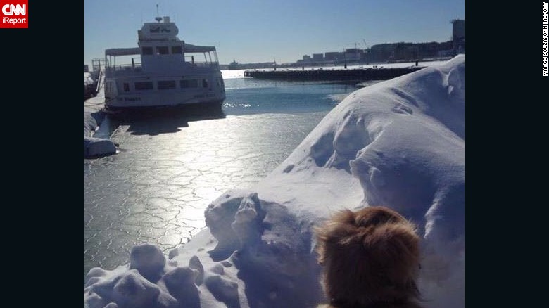 Margo Souza and her pup, Logan, overlooked the Boston Harbor Monday morning. The snow is taller than Logan and the top layer of the bay is frozen.  
