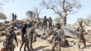 Fighting Boko Haram in Cameroon