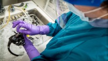 Scope superbug: How long did the FDA know about problem?