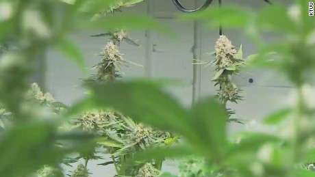 Alaska becomes 3rd state to legalize marijuana use - CNN
