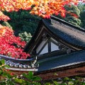 beautiful japan Saimyo-ji Temple Lake Biwa Shiga