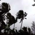 01 cyclone pam 0313
