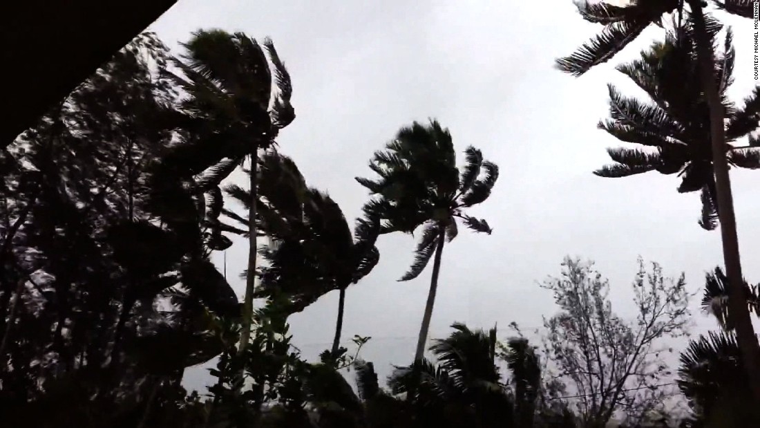 Strong winds blow trees as Pam hits Vanuatu on March 13.