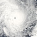 08 cyclone pam 0313