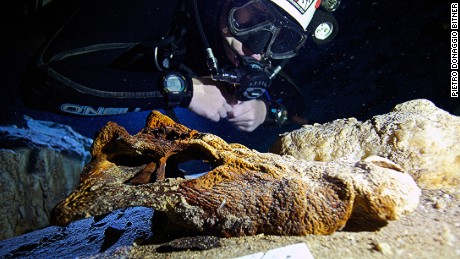 Divers Discover Underwater Graveyard Of Extinct Giants - CNN.com