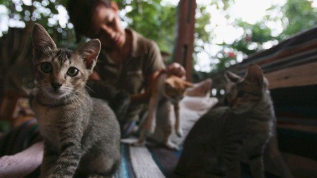 Why pets are the best medicine
