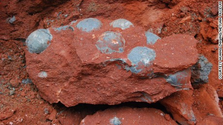 Dinosaur eggs found by construction workers in China