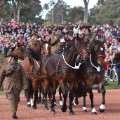 07 anzac day 