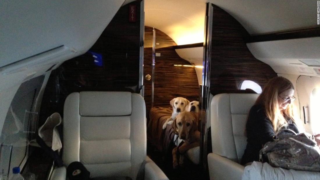 http://i2.cdn.turner.com/cnnnext/dam/assets/150506225244-pet-jets-1-super-169.jpg