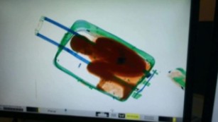 This x-ray shows the boy, 8, hiding in the suitcase, according to officials.