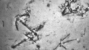 MH370 search discovers uncharted shipwreck