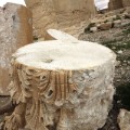 02 palmyra ruins