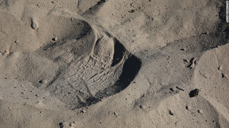 Prints on the ground are used to track and hunt endangered black rhinos.