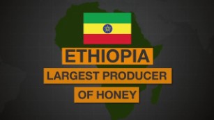 Ethiopia&#39;s sweet success