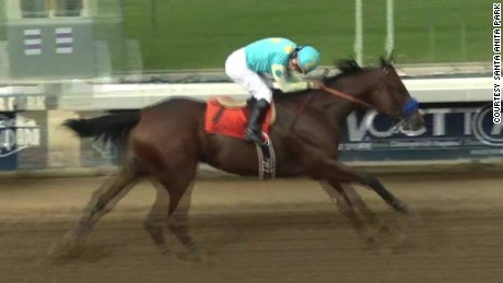 Will American Pharoah win Triple Crown?