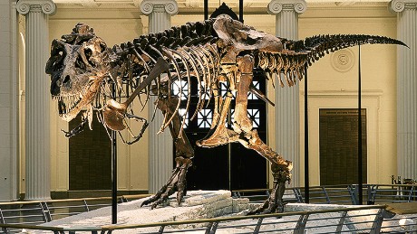 top 10 dinosaur museums