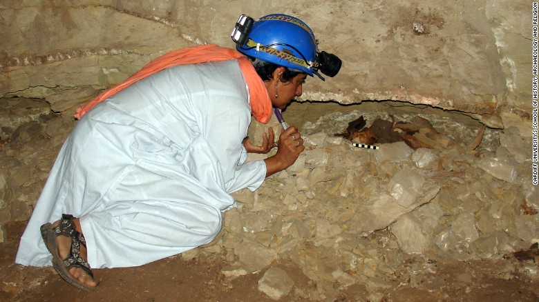 Archaeologist Salima Ikram examines the mummified remains of an adult dog in a wall niche.