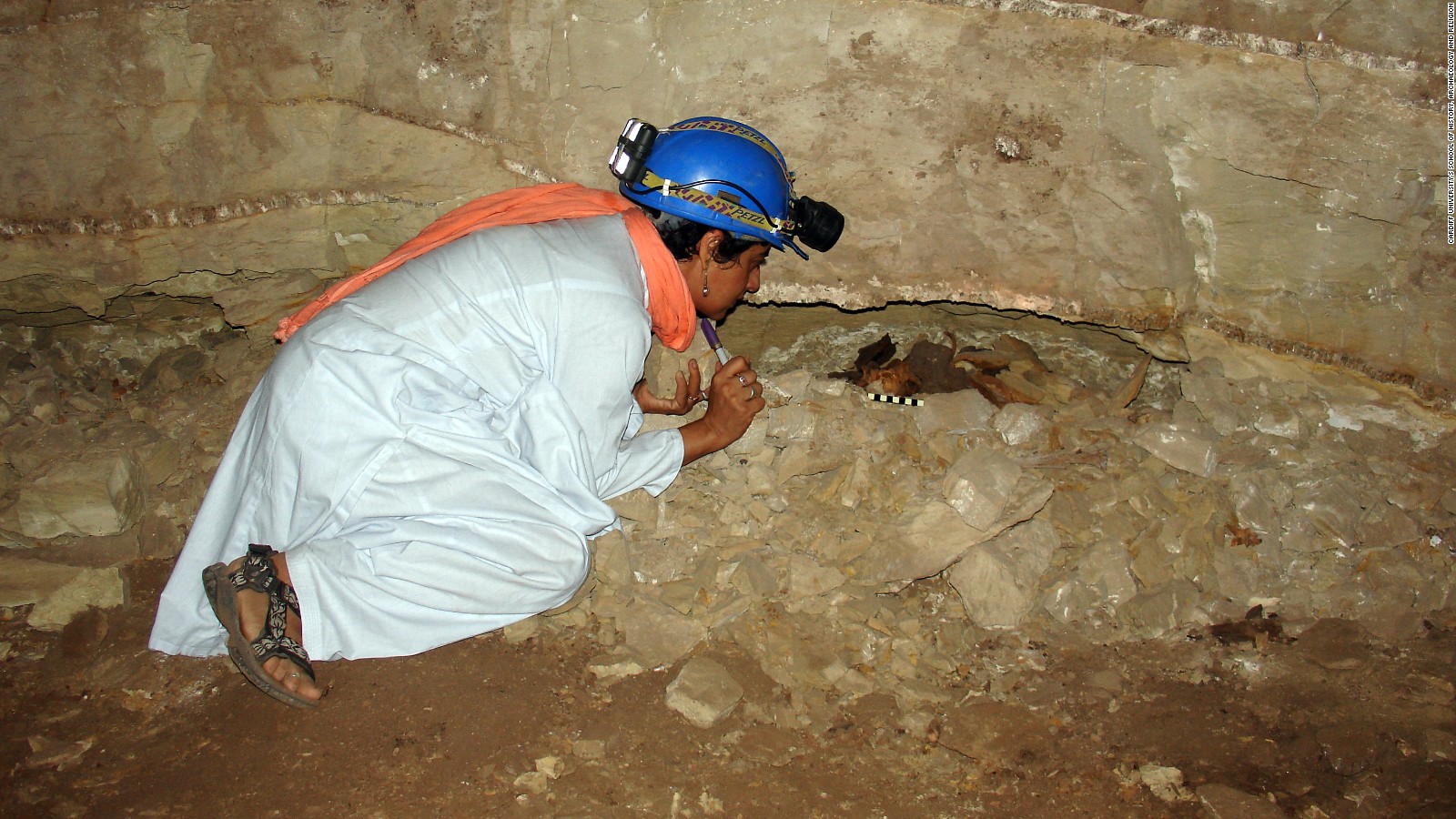 Archaeologist Salima Ikram examines the mummified remains of an adult dog in a wall niche.