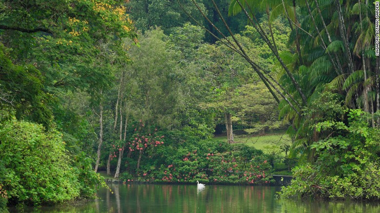 &lt;strong&gt;Singapore Botanical Gardens, Singapore. &lt;/strong&gt;Located in the heart of Singapore, Singapore Botanical Gardens shows the evolution of a British tropical colonial botanic garden. Now a scientific institution focused on conservation and education, the site includes historic buildings and plants that have evolved since the gardens were created in 1859. The garden&#39;s Swan Lake is shown here.
