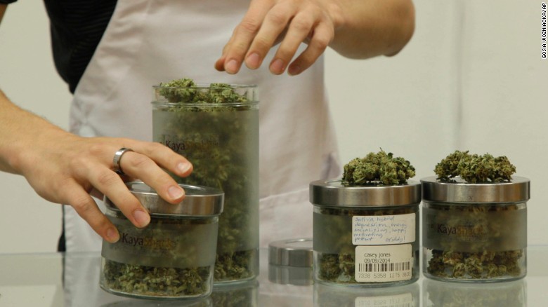 An employee at Kaya Shack, a Portland, Oregon, medical marijuana dispensary, showcases three types of marijuana sold at the shop on June 26, 2015. Oregon legalized recreational marijuana use on July 1, 2015.