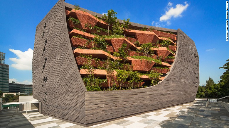 Designed by Singaporean architect Mok Wei Wei, the new Lee Kong Chian Natural History Museum cost $35 million to build. Seven-stories high and resembling a giant moss-covered rock, it houses over one million specimens.