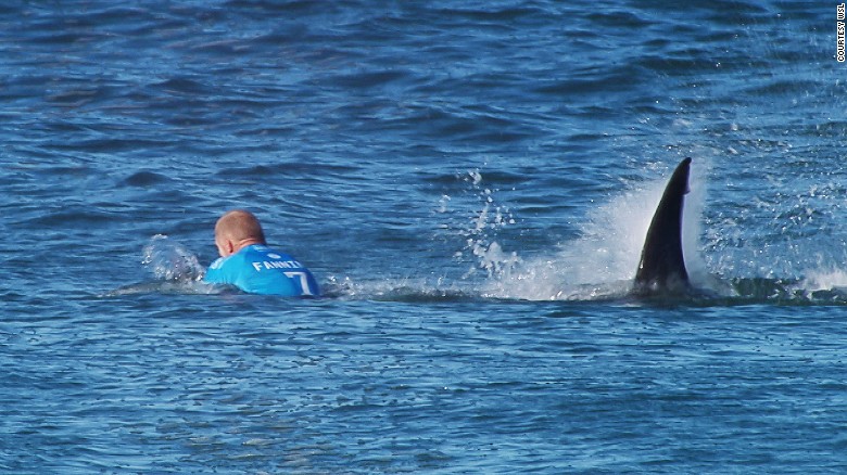 A surfing competition in South Africa was canceled Sunday after championship surfer Mick Fanning escaped a shark attack in the opening minutes of the final heat. Fanning escaped with a severed leash on his surfboard. He told World Surf League TV that he &quot;punched&quot; the shark &quot;in the back&quot; to scare it away.