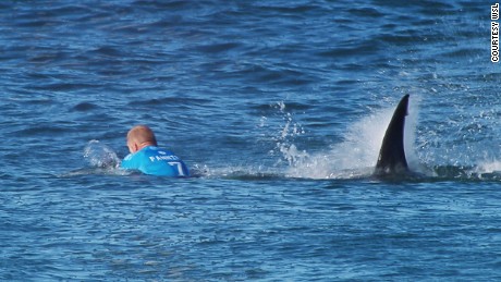 A surfing competition in South Africa was canceled Sunday after championship surfer Mick Fanning escaped a shark attack in the opening minutes of the final heat. Fanning escaped with a severed leash on his surfboard. He told World Surf League TV that he &quot;punched&quot; the shark &quot;in the back&quot; to scare it away.