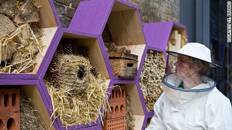 Why luxury hotels are turning to beekeeping