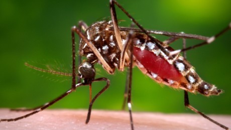 Zika has been sexually transmitted in Texas, CDC confirms