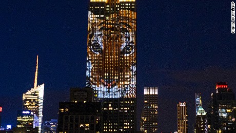 100 animals projected