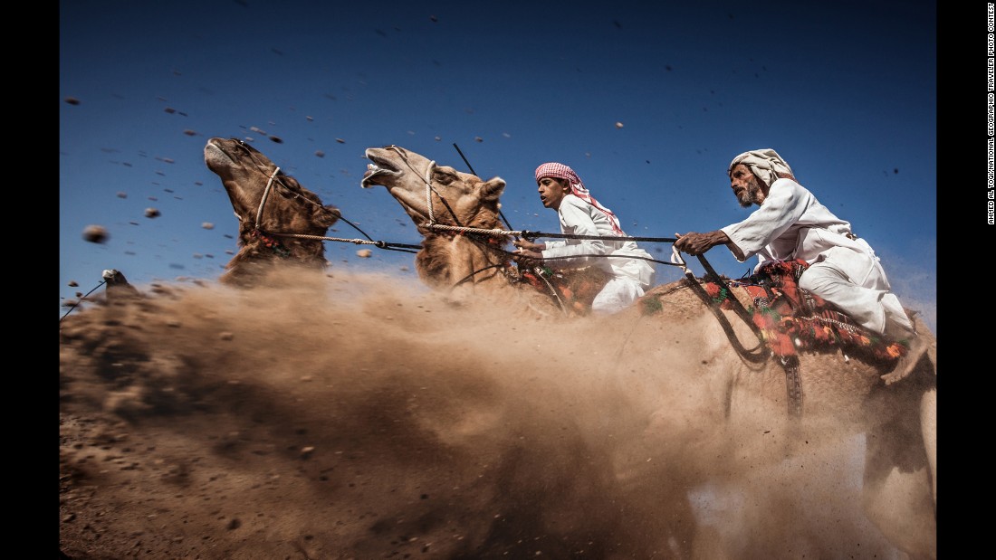 &quot;Camel Ardah, as it called in Oman, is one of the traditional styles of camel racing ... between two camels controlled by expert men,&quot; Al Toqi said. &quot;The faster camel is the loser ... so they must be running (at) the same speed level in the same track. The main purpose of Ardah is to show the beauty and strength of the Arabian camels and the riders' skills. Ardah (is) considered one of the most risky situations, since always the camels' reactions are unpredictable (and) it may get wild and jump (toward the) audience.&quot;