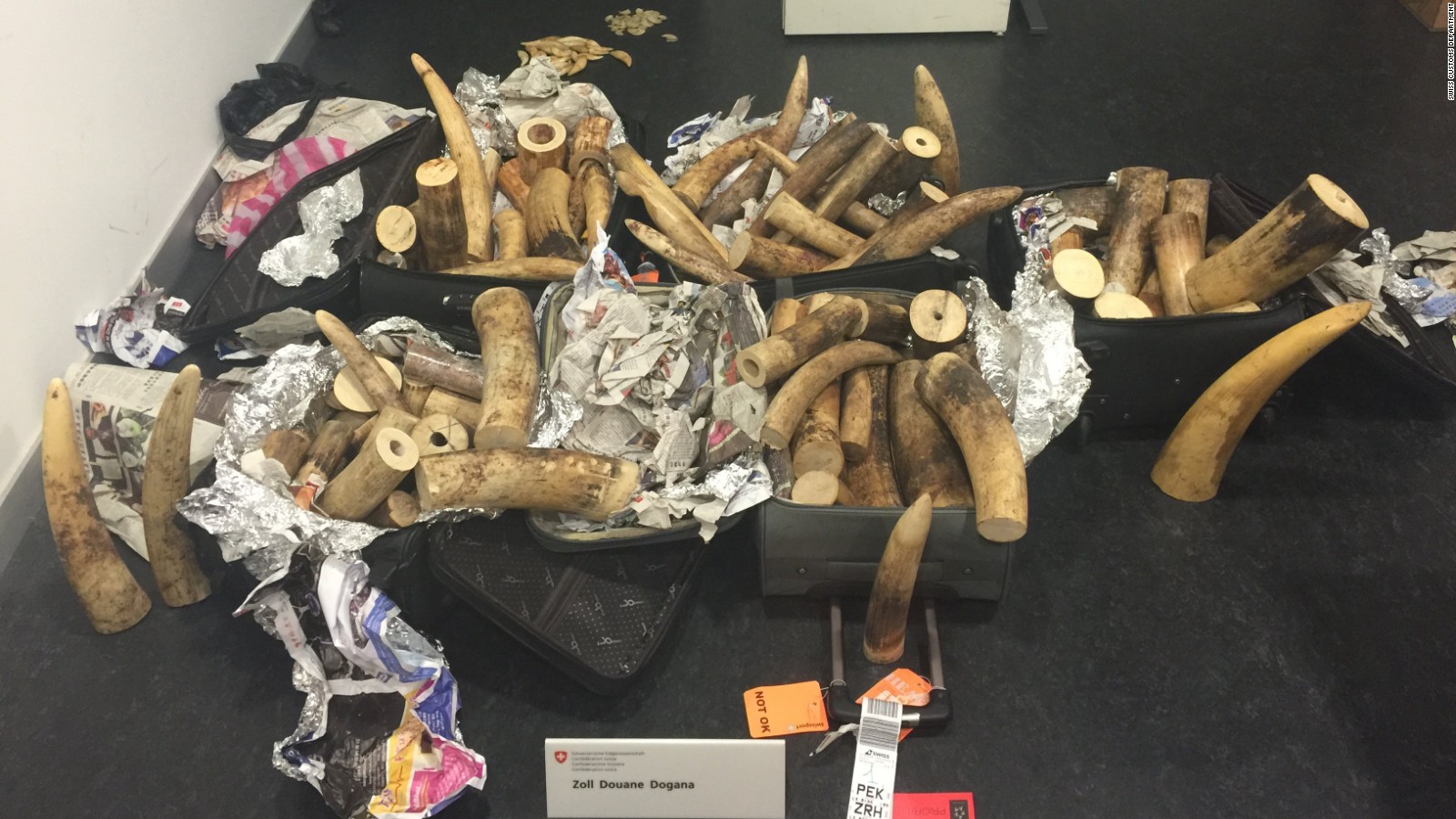 The ivory was discovered in a random check at Zurich Airport.