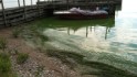 Toxic algae blooms contaminate U.S. drinking water
