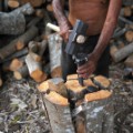 firewood energy