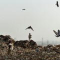 02 landfill waste