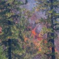 A large wildfire is spreading through northwest Idaho, threatening the town of Kamiah.